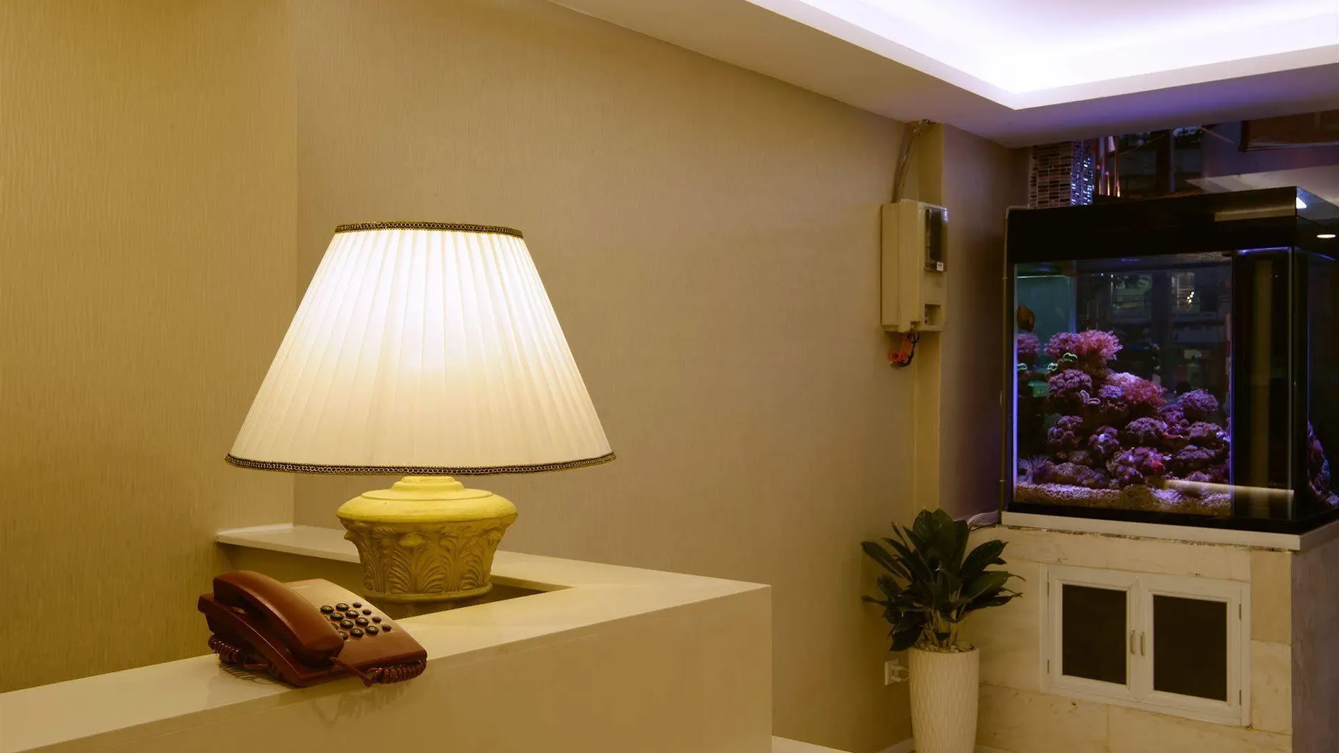 Hong Kong Kaiteki Hotel Ho Chi Minh City